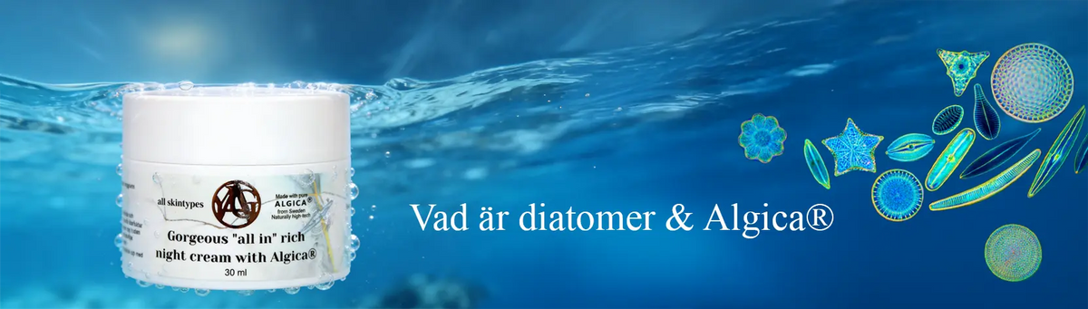 Vad är Algica® och diatoméer i YAGs resultatinriktade hudvård?
