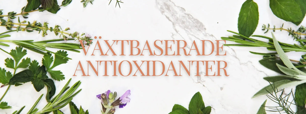 Hur växtbaserade antioxidanter ger din hud en naturlig lyster