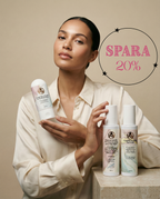Solskadad hy rengörings-kit SPARA 20% YAG Sweden