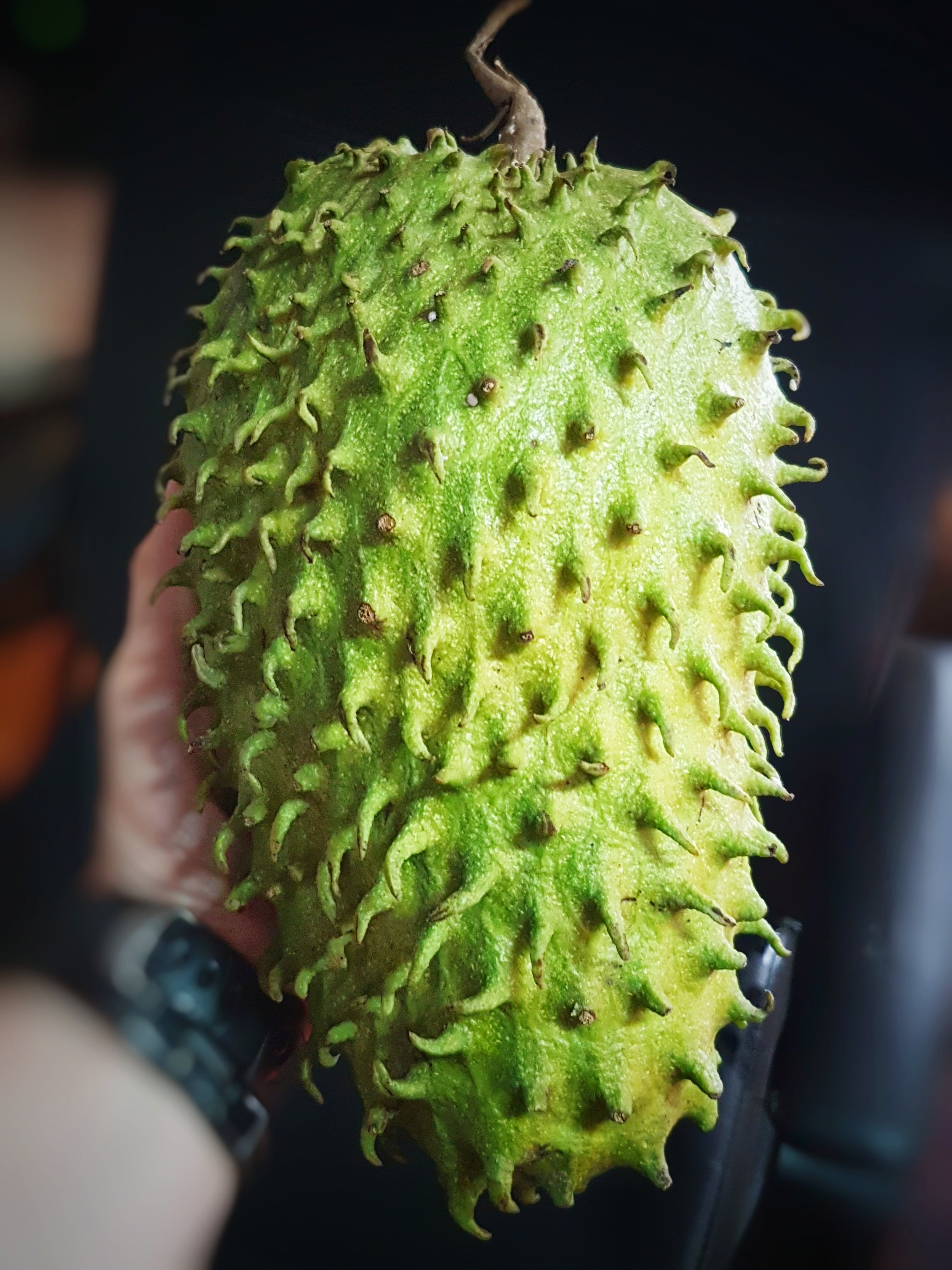 Soursop oljeserum Min butik